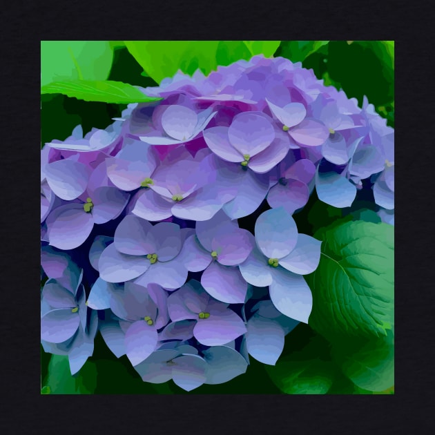 Purple Hydrangea Flowers by bragova
